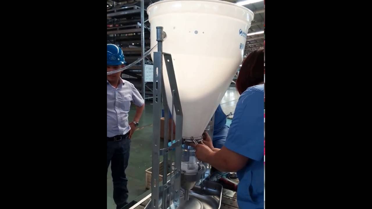 Parts Two Installation Of Eu Type Wet Dry Feeder For Pigs Youtube