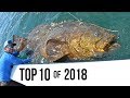 Top 10 Best Fishing Moments from 2018