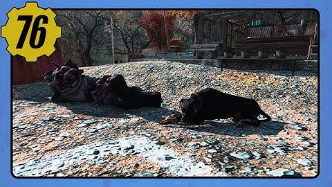 Fallout 76 Weekly Challenge Guide for August 6, 2024.