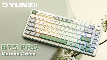 UNBOXING B75 PRO: A Fresh View In Summer