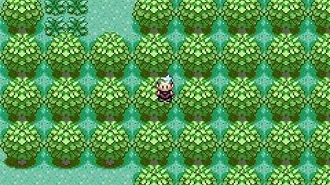 Pokemon emerald walkthrough walls cheat