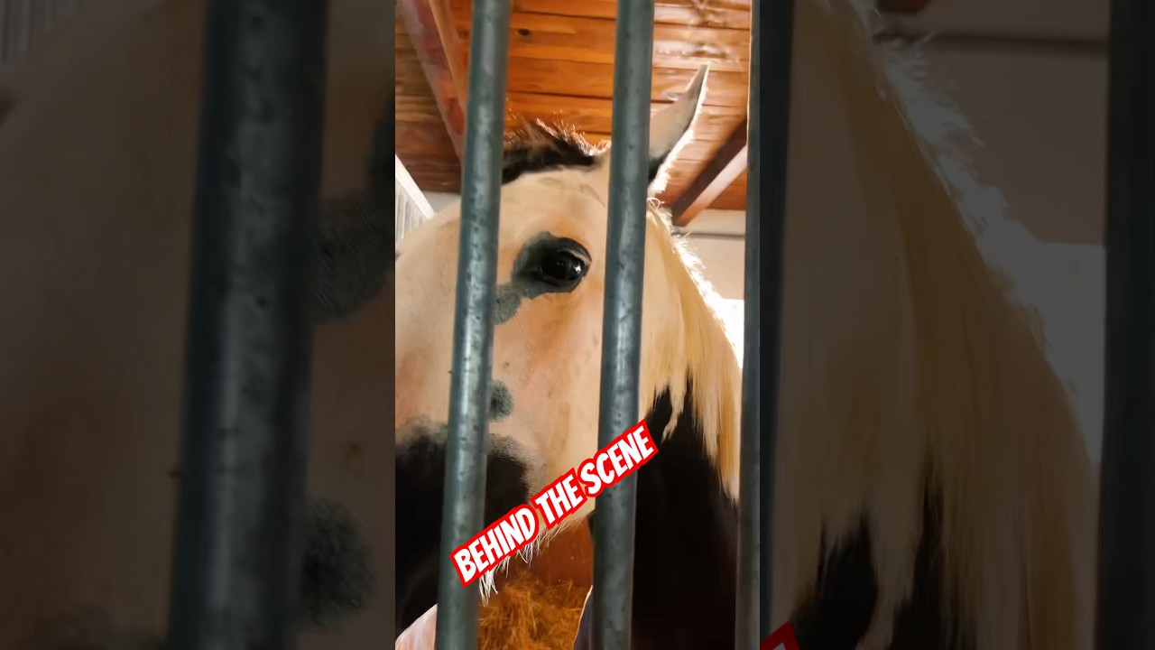 Takto sme točili ma ranči O tene