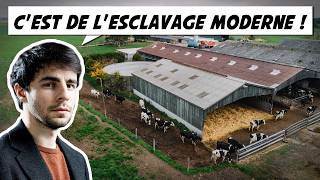Létat Français Est En Train De Tuer Ses Agriculteurs Preuves À Lappui