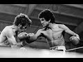 Salvador sanchez counterpunch lee wylie reupload