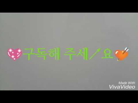초코하임의 오프닝!