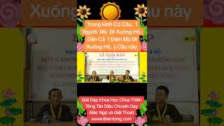 TRONG KINH CÓ CÂU 1 NGƯỜI MÙ ĐI XUỐNG HỐ DẪN CẢ 1 LŨ MÙ CÙNG ĐI XUỐNG HỐ VẬY & GĐ KH CHÙA TÂN DIỆU