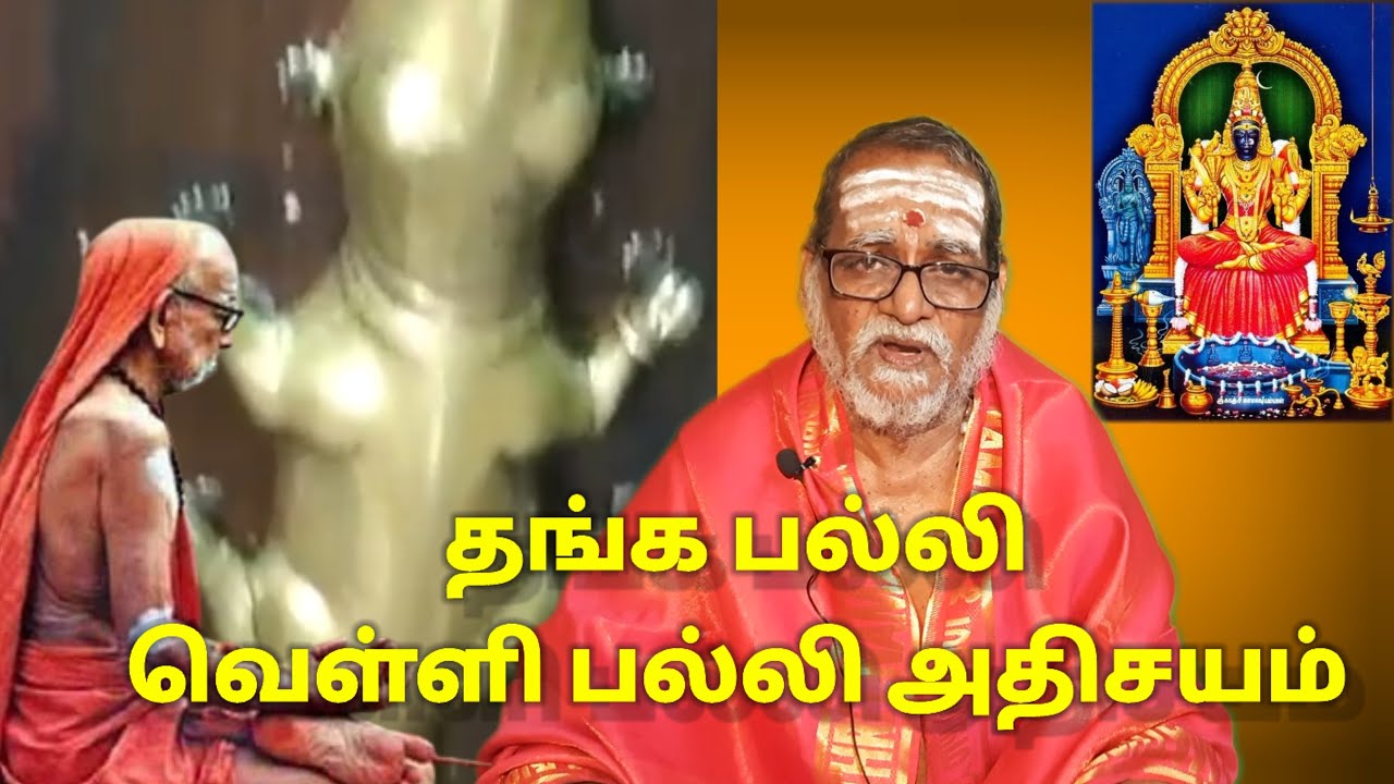 தங்க பல்லி வெள்ளி பல்லி அதிசயம் #mahaperiyava #athivaradhar Neelakal CN Muthuswamy Sastrigal