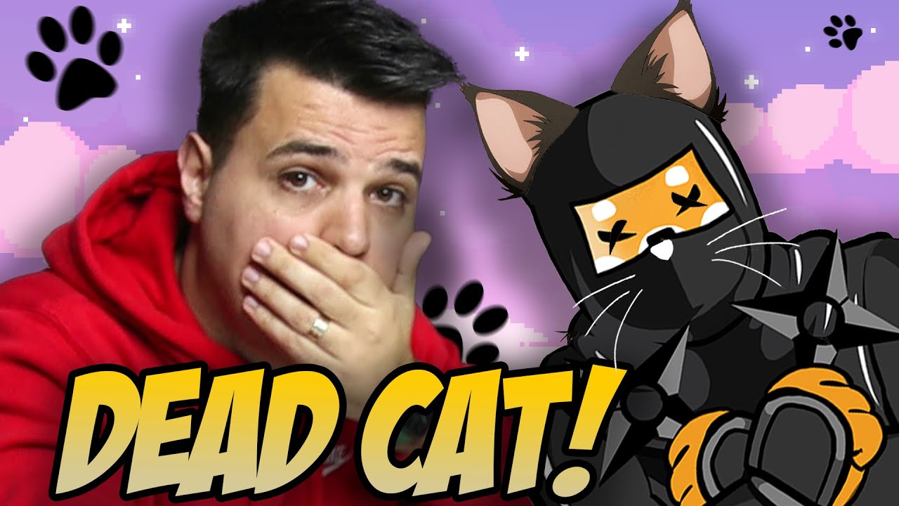 Shinja Price Prediction 1st March 2022 🐈💀 DEAD CAT BOUNCE AGAIN WARNING