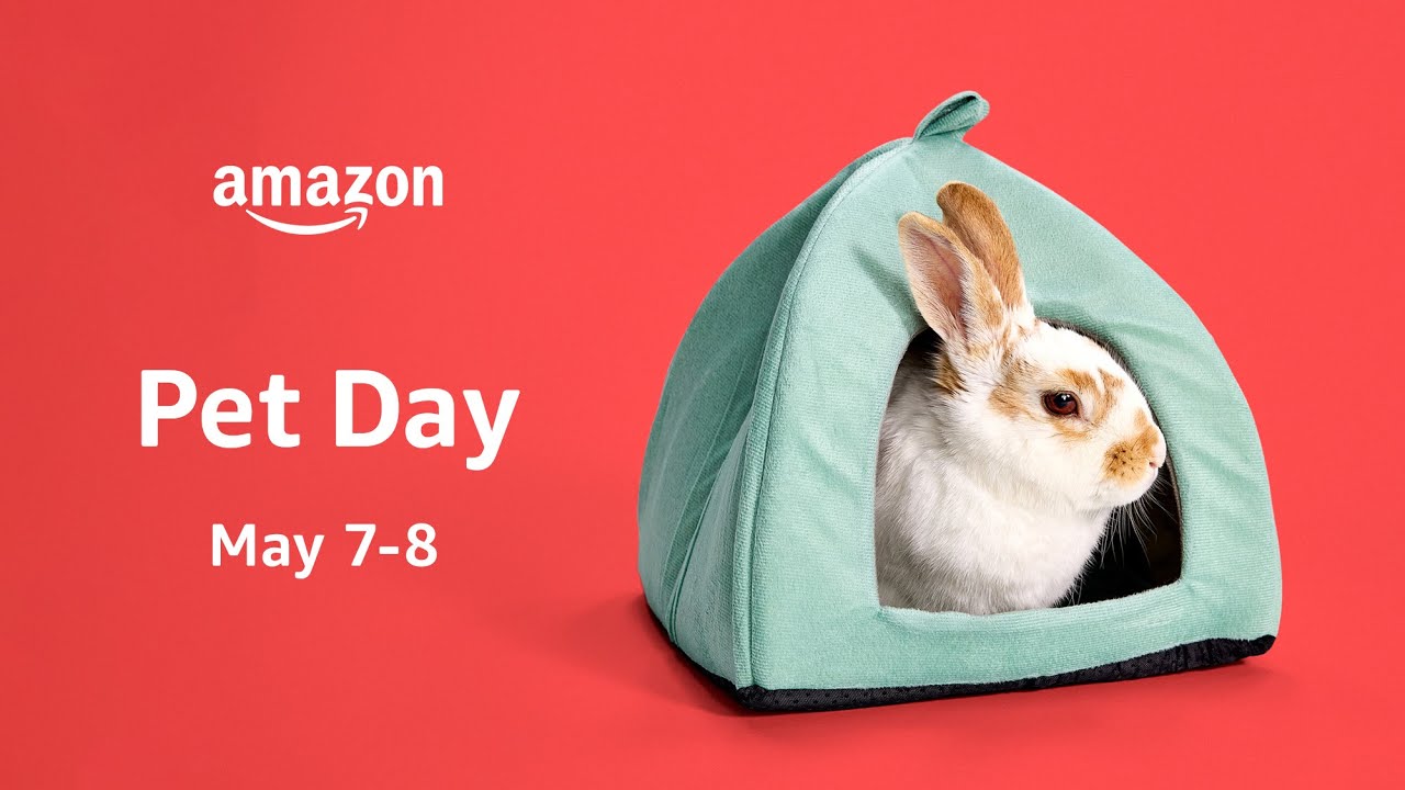 Amazon Pet Day 2024 is coming May 7-8 with 48 hours of deals on ...