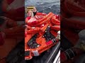 The Raft Deployment That Saves Lives in Seconds #maritime #genius