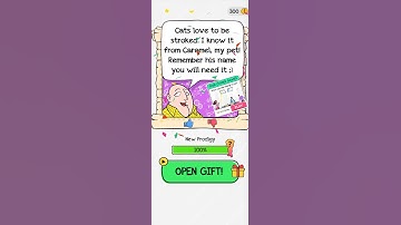 Braindom Level 15 (Wake Up The Cat) Solution