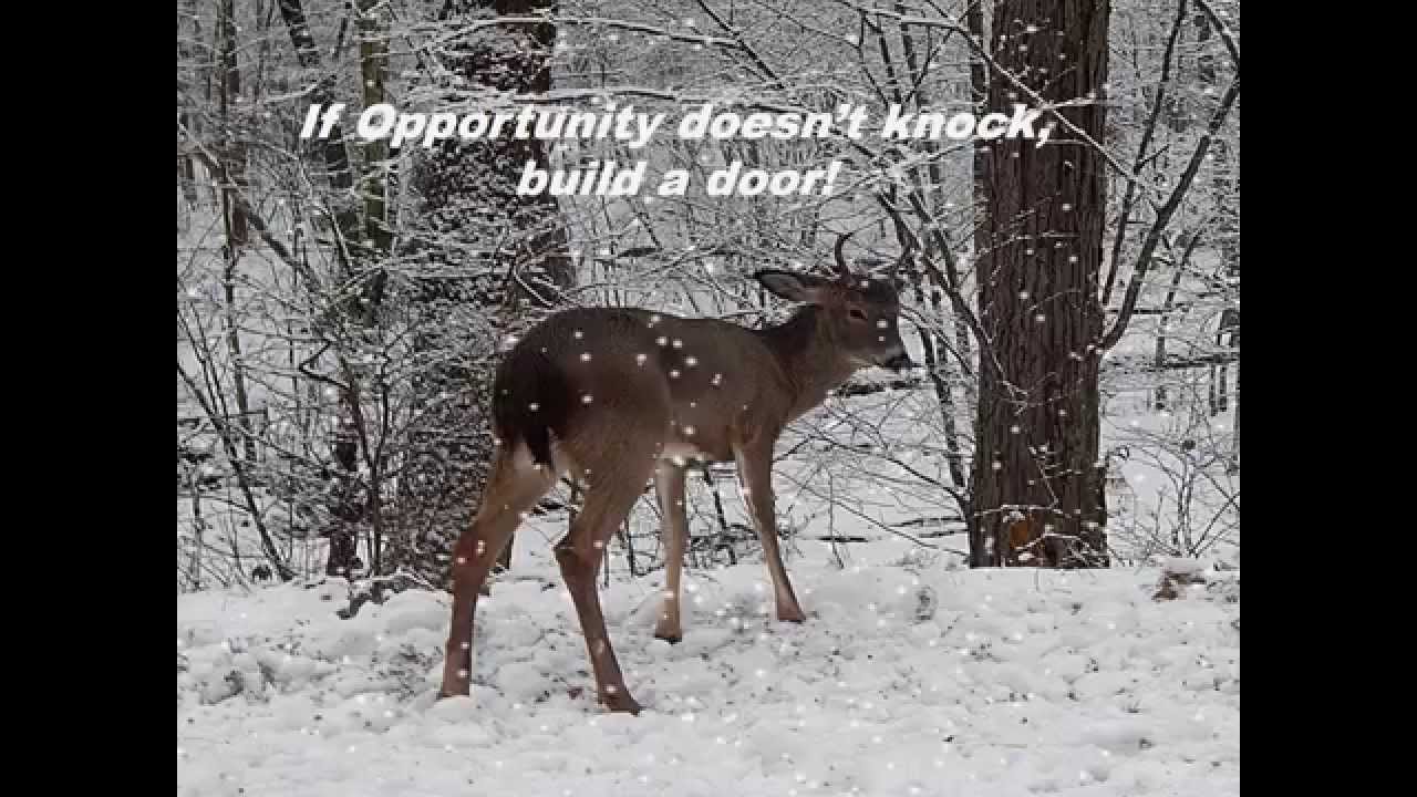 The Story of Archer Full Throttle YouTube