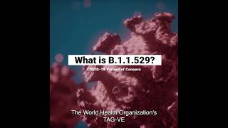 What is the Omicron B.1.1.529 variant of concern