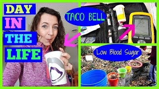 Getting Fancy For Taco Bell, Low Blood Sugar Charlie Talks