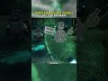 You MUST Use Photo Mode to See this Secret in Lego Batman Legacy of the Dark Knight