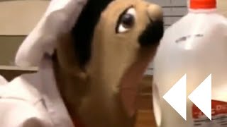 Famous sml: chef peepee's laugh slowed down Wealth