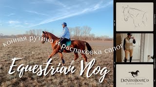 VLOG | конная распаковка | рутина с ипподрома | мысли о покупке своей лошади