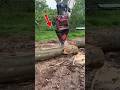 Most Powerful Log Splitter in Action! 😱 #shorts