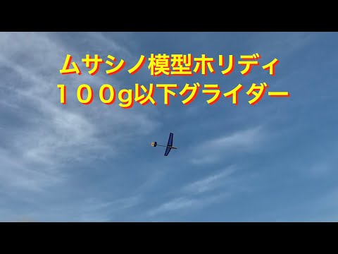 ラジコングライダー】ホリディ初飛行 - YouTube
