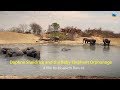 Daphne Sheldrick and the Baby Elephant orphanage - Part2