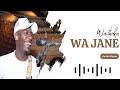 Waithaka wa Jane Latest Mugithi Live| Kui Mugweru