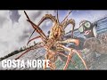 Spearfishing Puerto Rico🇵🇷(Catch ,Cook) Costa Norte  Ep.3