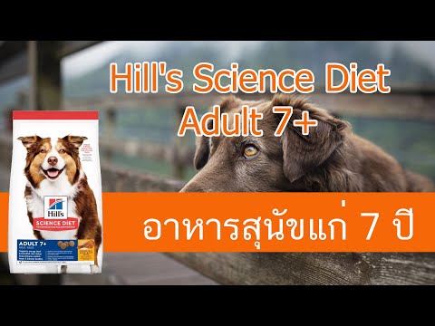 อาหารสุนัข hill ราคา อาหารสุนัข hill pantip อาหารสุนัข hill puppy อาหารสุนัข hill's z/d อาหารสุนัข