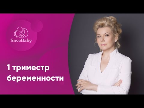 1 триместр беременности. Елена Никологорская. Акушер-гинеколог. СПб