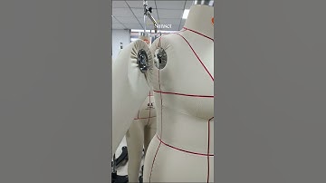 Junmei western standard size women