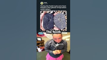 Bro what fossil is THAT 😭