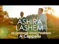 Ari goldwag a cappella ashira lashem feat dovid pearlman       