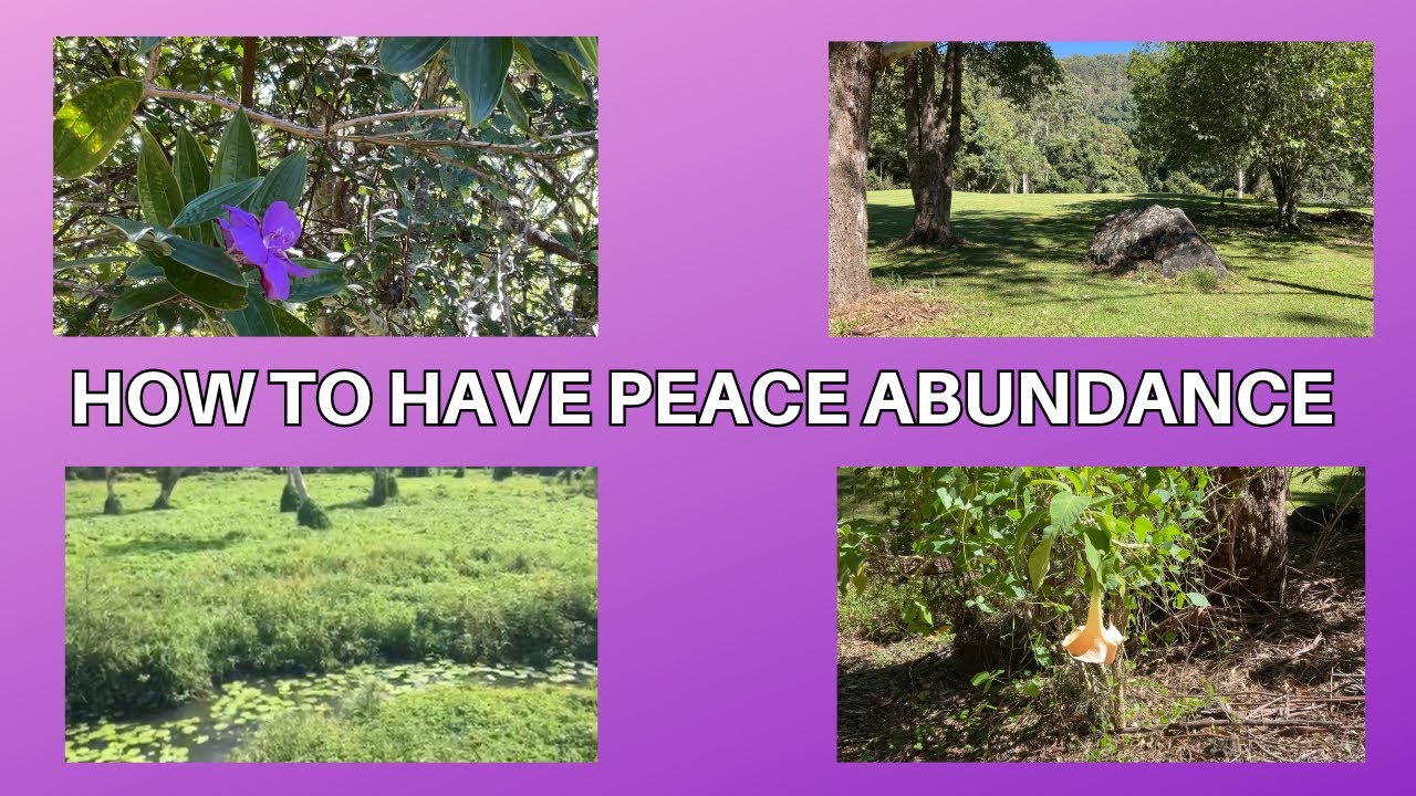 How to have PEACE ABUNDANCE - YouTube