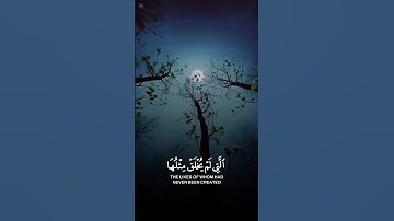 والفجر وليال عشر بصوت الطفل عبد الله احمد شعبان تلاوة خاشعة مريحة 💚