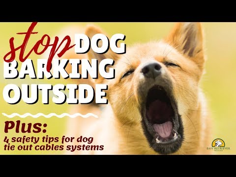 فيديو: كيفية وقف نباح الكلب في الحي