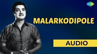 Video-Miniaturansicht von „Malarkodipole Audio Song | Vishukkani | K.J. Yesudas Hits | Prem Nazir & Sharada“