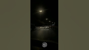 {الشيخ القارئ *طارق محمد*}