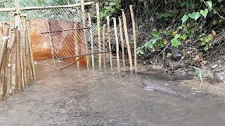 Creative Boy Make Fish Trap -How To Make Easy Fish Trap To Catch Big Fish In Cambodia