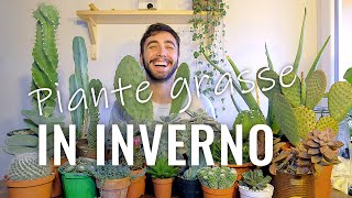 Piante grasse in inverno - Guida su come prendersene cura - YouTube