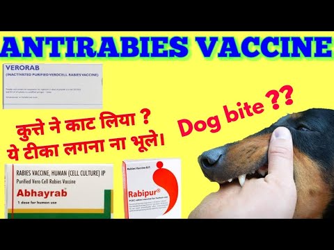 anti rabies vaccine cat bite