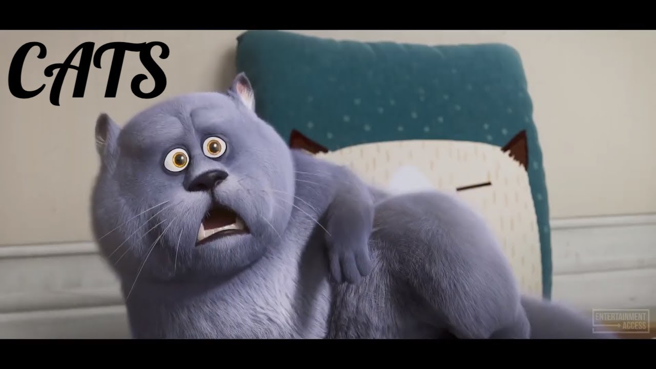 CATS (NEW 2020) - Official Trailer | Adventures | Animation HD 1080p