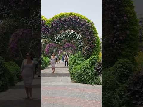 A miracle garden in Dubai last may vacation 2022