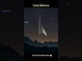 Comet Nishimura: The Green Flash of 2023