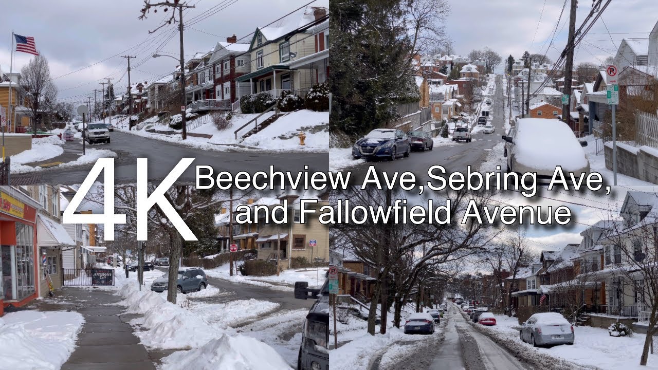 Beechview Pittsburgh Beechview Ave,Sebring Ave, and Fallowfield Avenue