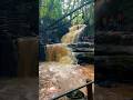 The VIBES at Karura Forest are MAJESTIC!  #Tranquiltrails #waterfallwonders  #soulfuljourney