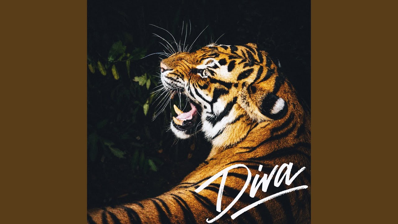 Watch Diva on YouTube Watch Diva on YouTube