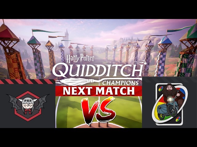 Pro Series [ PKS VS HAG | Harry Potter: Quidditch Champions ]