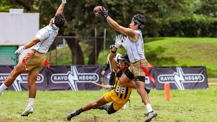 Semifinal ·  Steelers vs Big Toluca · Varonil