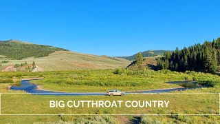 AMAZING CUTTHROAT fishery and EPIC stream side camping! P3