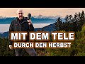 TELEOBJEKTIV in der LANDSCHAFTSFOTOGRAFIE | Mit 200mm in den bunten HERBST
