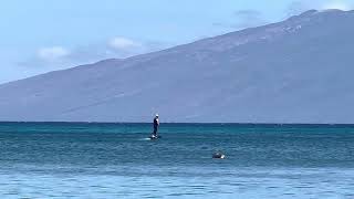 Fliteboard Pro 2.2 Flyer 800 wing on a beautiful Maui morning
